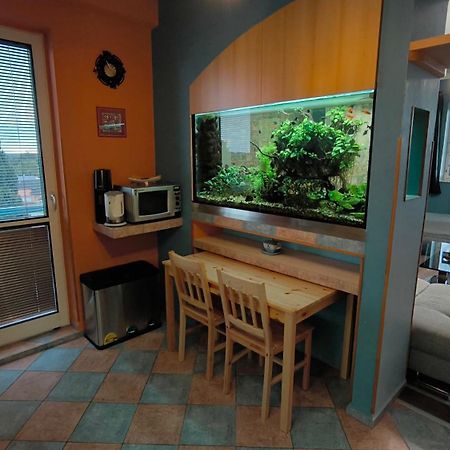 Suk Apartman 24 Suchdol nad Luznici Bagian luar foto